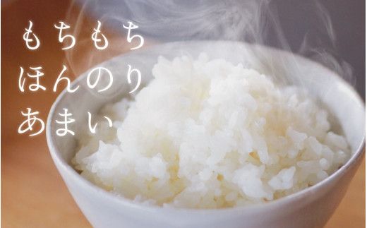 ほたるいか米（精米10kg）×3回 計30kg【3ヶ月定期便】