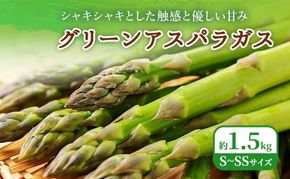 2026年春発送！ふらの グリーンアスパラ 約1.5kg [ 数量限定 先着順 アスパラ アスパラガス 野菜 新鮮 直送 北海道 富良野 ]
