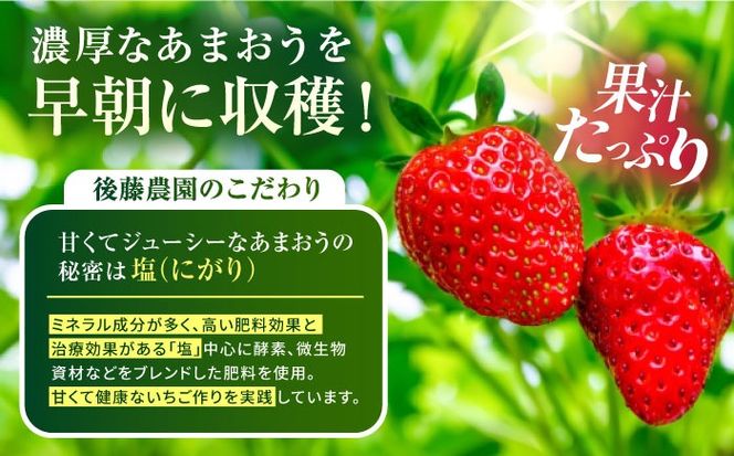 【先行予約】あまおう 糸島産 農家直送！春あまおう 280g×2パック (DXおよびGサイズ) 【2026年2月上旬以降順次発送】糸島市 / 後藤農園 [AML004] あまおう いちご イチゴ 苺 ギフト 贈答 クリスマス  期間限定 先行予約