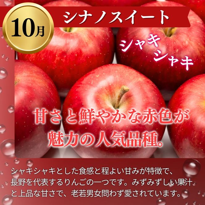 【2026年発送】定期便 3ヶ月 志賀高原季節のりんご定期便3回コース りんご シナノスイート ぐんま名月 サンふじ リンゴ フルーツ 果物 デザート おやつ 長野県 長野 定期 お楽しみ 3回