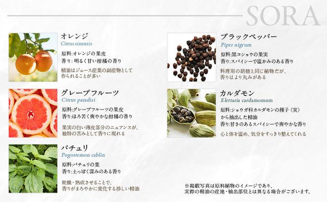 【3ヵ月連続お届け】木々之重 MORI SORA TUKI エッセンシャルオイル 各10ml アロマオイル アロマグッズ 香り 天然 由来 100％ 精油 癒し 贈答 プレゼント