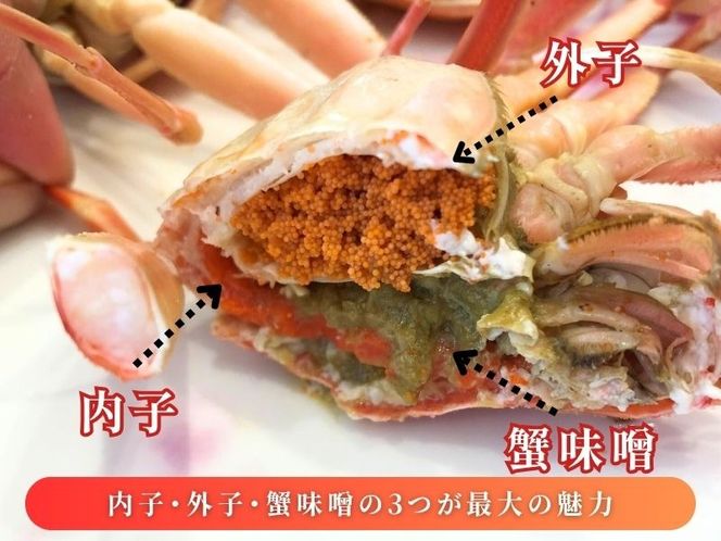 【11月～2月発送】【訳あり】新潟県村上市寝屋漁港産　セコガニ 約1kg（5～10尾入）C4088