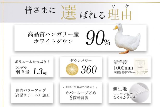 【アンバーホワイト】軽くて暖か 羽毛布団 本掛け シングル ハンガリーホワイトダウン90％ DP360 羽毛ふとん 掛け布団 掛布団｜アクア ＜京都金桝＞
