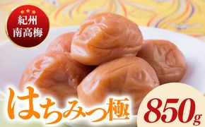 紀州南高梅はちみつ極塩分約6％（850g）