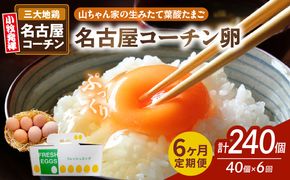 【6ヶ月定期便】【山ちゃん家の生みたて葉酸たまご】名古屋コーチン卵（40個入り）［132Y04-T］