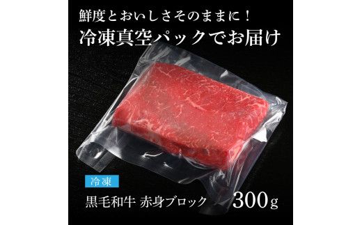 【CF-R7hbk】TKA164　天下味 長期熟成肉 エイジングビーフ 黒毛和牛 ももブロック 300g もも肉 モモ 国産 黒毛和牛 A5ランク 肉 牛肉 ブロック 和牛 赤身 塊肉 人気 老舗焼肉店 冷凍 新鮮 真空パック 贅沢 お祝い 高知 芸西村 返礼品 故郷納税 贈り物 贈答 ギフト 10000円