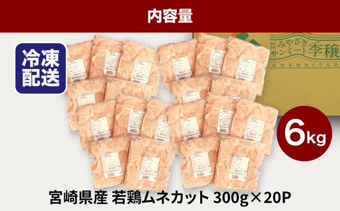 ★スピード発送!!７日～10日営業日以内に発送★鶏ムネカット 小分け 6kg　K16_0127