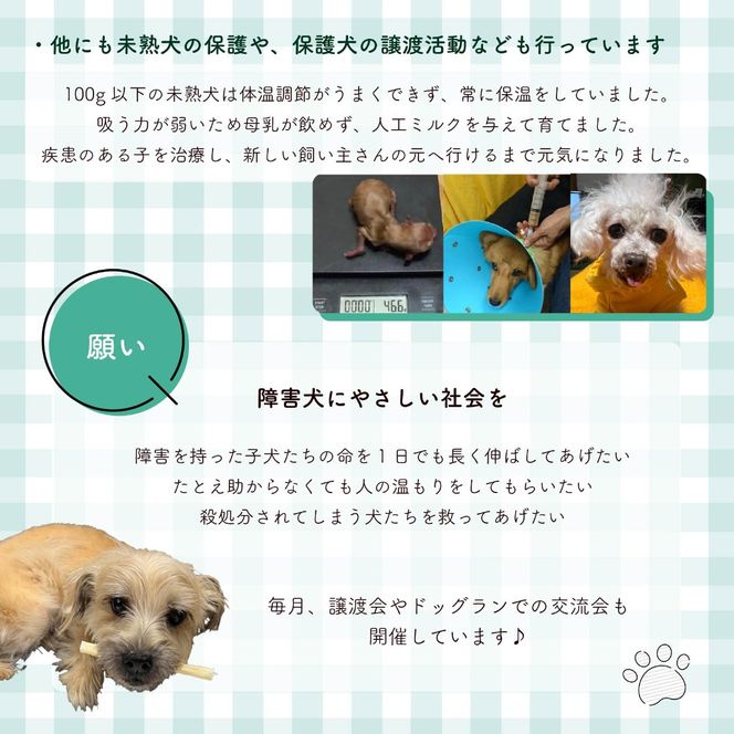 【返礼品なし】 【金額選べる】 障害犬 保護犬の支援 保護 支援 里親 譲渡 治療 餌 犬 動物愛護 藤枝市 静岡県