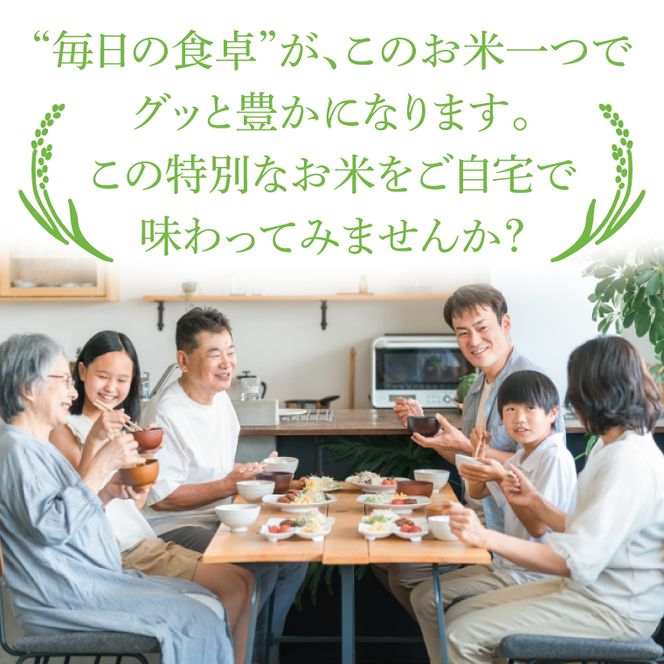 【特別栽培米】【谷田部農産】立神米「にじのきらめき」15kg（5kg×3袋）（白米）令和7年産 ｜茨城県 大子町 奥久慈 大子産米 精米 米 コンテスト 受賞 生産者（BT086）