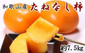 【秋の味覚】和歌山産たねなし柿（L～4Lサイズおまかせ）約7.5kg・秀品〇