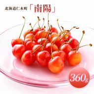 2027年発送 北海道 仁木町産 さくらんぼ 南陽 360g （180g×2パック）  Lサイズ以上 旬 桜桃 産地直送 サクランボ チェリー フルーツ 果物 果物類  仁木町 仁木 [松山商店]