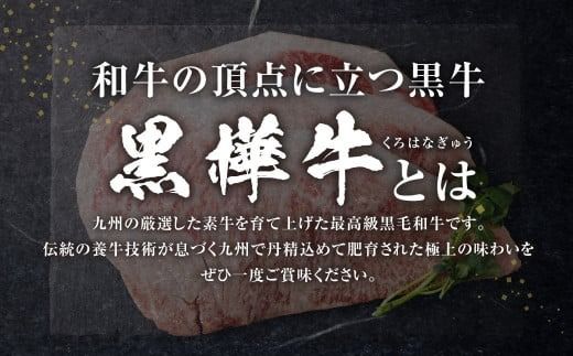 黒樺牛 ロースステーキ 600g （200g×3パック） お肉 肉 牛肉 ブランド黒毛和牛 和牛 黒毛和牛 ブランド牛 ステーキ ロースステーキ 冷凍 国産 九州産 冷凍