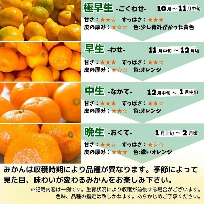 MK1045_2月28日終了！ 最短出荷すぐ届く！みかん Ｍサイズ 秀品 箱込 7.5kg ( 内容量 6.8kg ) 有田みかん 和歌山県産 産地直送 贈答用 【みかんの会】