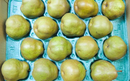 FYN9-387 ≪2026年先行予約≫山形県産 西洋梨 ラ・フランス 5kg(14～20個) 2026年11月上旬から順次発送 洋梨 ラフランス 秋果実 果物 くだもの フルーツ 自宅用 産地直送 山形県 西川町 月山