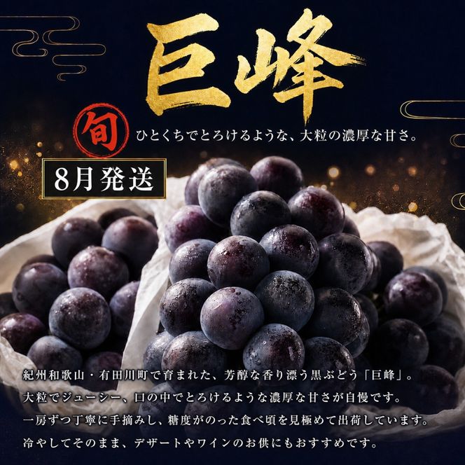 【8・9・12月 全3回】紀州産 巨峰とフルーツ定期便A（巨峰・梨・みかん） 【魚鶴】AN039
