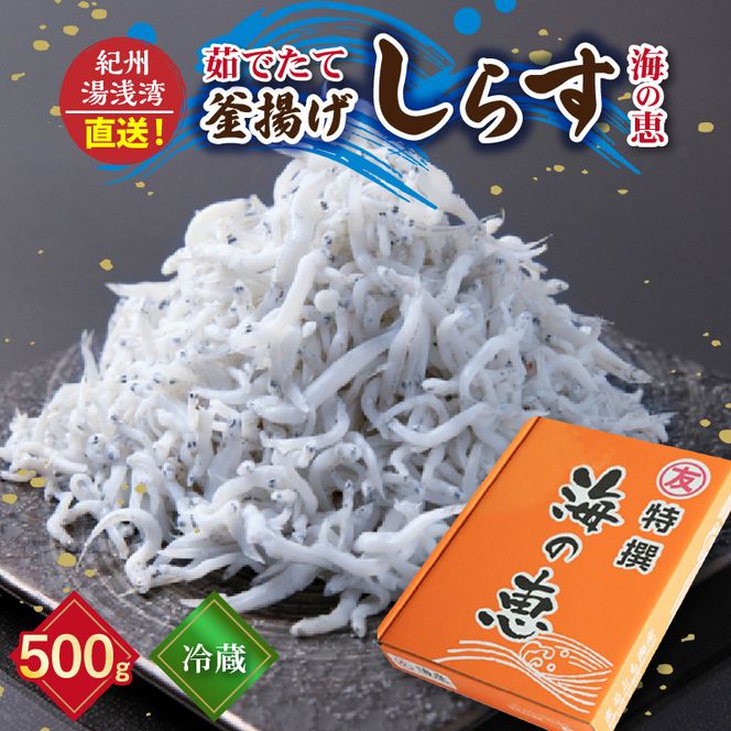 C6039n_【冷蔵】 茹でたて 釜揚げしらす 海の恵み 500g 紀州湯浅湾直送！【しらす干し ちりめんじゃこ シラス】