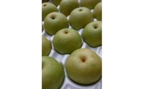 二十世紀梨 5kg【たにがみ農園】 312011_BY006