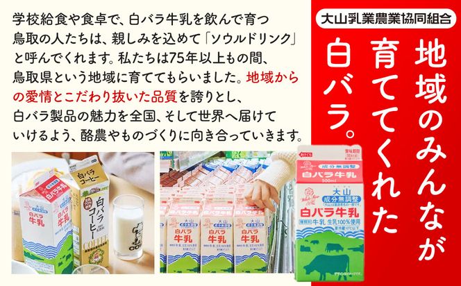 1080.2025 【定期便】大山乳業の３回お届けセット 313726_AH022