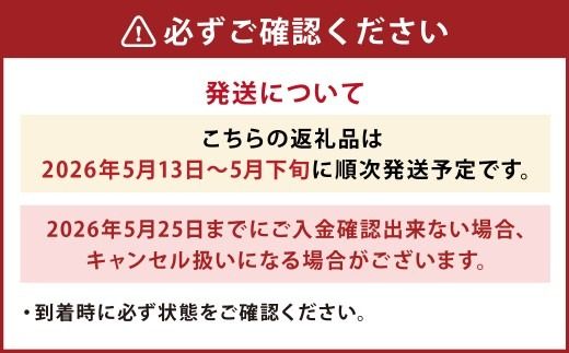 5月は母の月！母の月にぴったりなカーネーションを中心にしたブーケ！花瓶付きタイプ 【2027年5月13日～5月下旬までに発送予定】