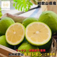 紀州和歌山 ご家庭用 有田 レモン 3kg+200g(傷み補償分)