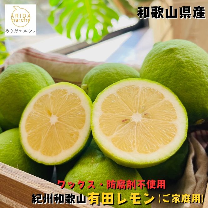紀州和歌山 ご家庭用 有田 レモン 3kg+200g(傷み補償分)