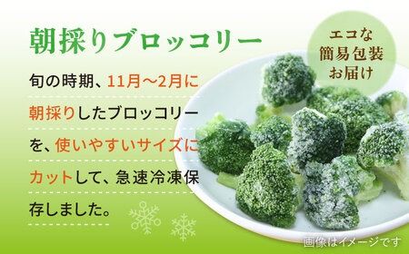ブロッコリー 500g 冷凍 旬の時期に急速冷凍 【福岡県糸島産】 糸島市 / オーガニックナガミツファーム 野菜 	[AGE043]