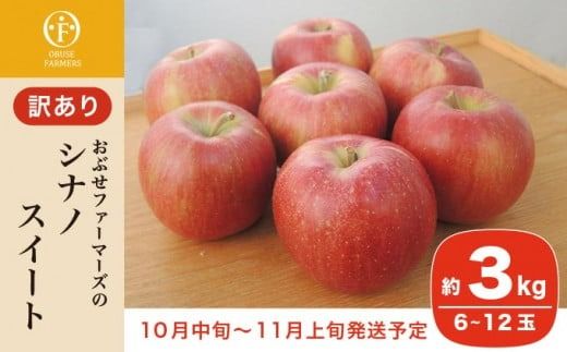 【訳あり】 シナノスイート 約3kg 6～12玉 ［おぶせファーマーズ］ 不揃い 規格外 家庭用 果物 フルーツ りんご 林檎 リンゴ 果物 フルーツ 長野県産 信州産 令和7年産 【2025年10月中旬〜11月上旬発送】 ［FH-54］