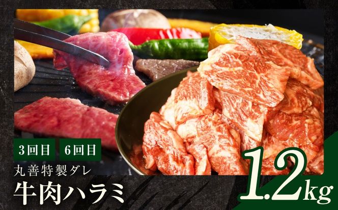 mrzZ011 焼肉定期便 総量6.8kg（肩ロース／牛タン／牛ハラミ）全6回 丸善味わい加工【毎月発送コース】