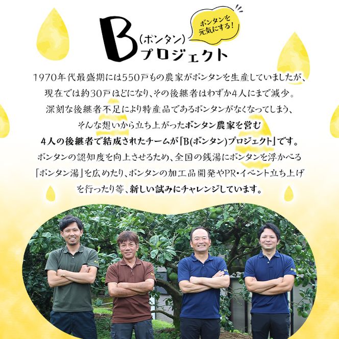 ボンタンサイダー(24本) 一つ一つ手作業で皮を剥き、果汁をしぼり仕上げました！ぼんたん ボンタン 文旦 サイダー ジュース 飲み物 飲料 果汁 フルーツ 果物 炭酸【ボンタンプロジェクト】akn055-02