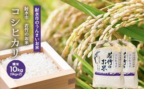 【射水市】【射水の美味しいお米】若竹のお米 R8年度産 コシヒカリ10kg（5kg×2）【精米】 ※離島への配送不可 ※2026年10月上旬～10月下旬頃に順次発送予定