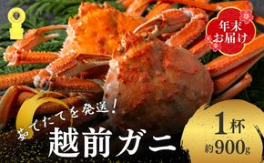 茹で 越前ガニ 約900g以上 1杯 年末配送 食通もうなる本場の味をぜひ、ご堪能ください 越前かに 蟹 カニ かに ボイルカニ ボイル蟹 ポーション ズワイガニ ずわい蟹 海鮮 福井 福井県 若狭町