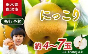 【先行予約】梨(にっこり) 4玉～7玉入り×1箱 (4.5kg以上) ※2026年10月上旬～11月下旬頃に順次発送予定