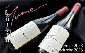 【数量限定】余市「ワイナリー夢の森」ワイン２本セット_Y034-0115