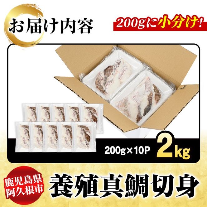 養殖真鯛切身(約2kg) 鹿児島県 阿久根市 たい タイ 真鯛 魚貝 魚介 海産物 切身 切り身 煮物 煮つけ 焼き魚 おかず おつまみ 小分け【さるがく水産】akn028-47