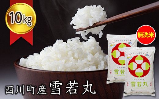 yR`쒬zFYN6-271 ߘa7Nx R` 쒬Y   10s(5kg×2)     CX ͂  uh  ƒp p p  Hi Z ߐ 2025N 쒬 R