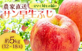【クール便でお届け】りんご 青森 サン早生ふじ (弘前ふじ) 約5kg (12～18玉)  サイキチ農園 青森県 鰺ヶ沢町産 ふじ 早生ふじ サンふじ フルーツ 果物 贈答用 贈答 ギフト 白神山地 果物類