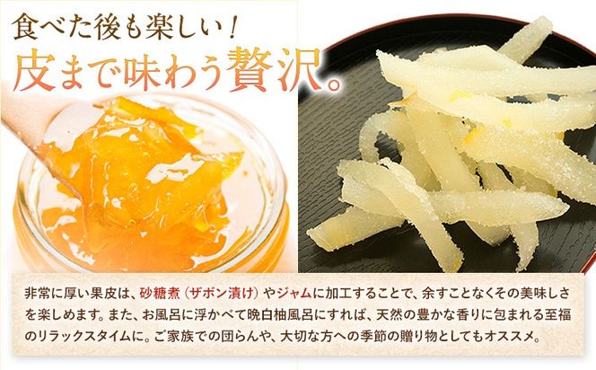 先行予約 晩白柚 約3kg 株式会社エフビーネット《12月上旬-1月下旬頃出荷》熊本県 氷川町 果物 フルーツ 熊本県産 ジューシー ばんぺいゆ バンペイユ---hkw_efn_5_3kg---