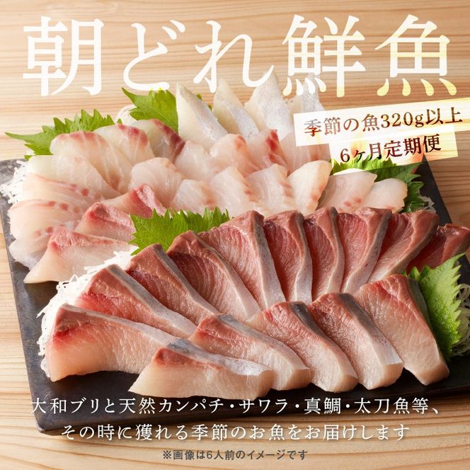 【6ヶ月定期便】大和海商 大和のこだわり漁師のお刺身　4人前 N072-YD0189_1