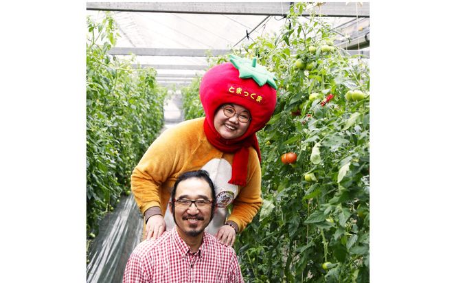 カラフルミニトマトの宝石箱　（約1kg） 