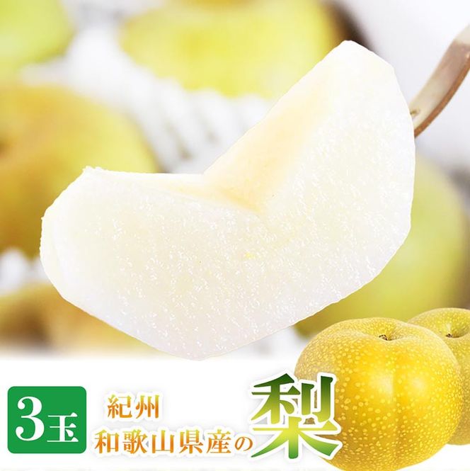 紀州和歌山産の梨 3玉 化粧箱入◇