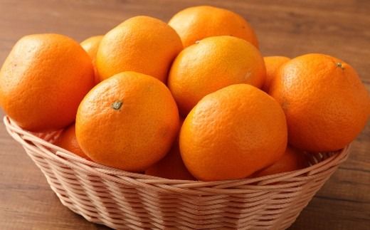 【先行受付】 特選 みかん 5kg 糖度保証 12度！ 【2026年12月上旬から12月下旬発送予定】 温州みかん 果物 フルーツ ミカン 蜜柑 柑橘
