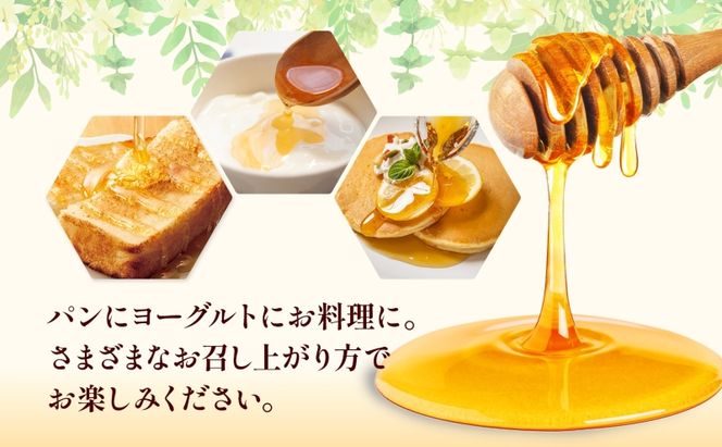 アルゼンチン&カナダ産はちみつ720g 3本入り 海外産 はちみつ 詰め合わせ ギフト ハニー honey 蜂蜜 甘味料 ハチミツ パン 菓子 トースト ホットケーキ ヨーグルト 調味料 隠し味 常温 常備 お取り寄せ 日新蜂蜜 送料無料 岐阜県 安八町