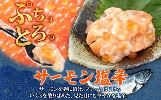 3112. サーモン塩辛 120g 2個 小分け サーモン 塩辛 鮭 さけ サケ いくら 漬け おつまみ アレンジ 海鮮 ご飯のお供 グルメ 冷凍 数量限定 送料無料 瓶 ギフト 北海道 弟子屈町
