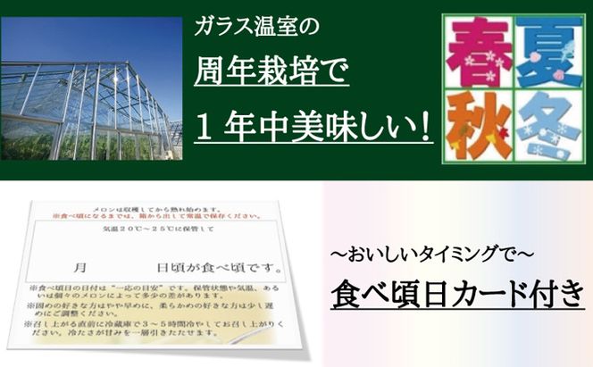 【9ヶ月定期便】クラウンメロン（訳あり）1玉入 メロン デザート グルメ 果物 フルーツ 季節の果物 スイーツ 袋井市 静岡県