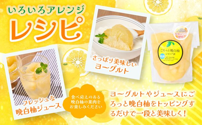 【先行予約】 晩白柚シロップ漬「ごろっと晩白柚」・晩白柚ペースト「マキシト」・晩白柚ゼリー「マキシトゼリー」晩白柚満喫セット 晩白柚 ばんぺいゆ 柑橘 手作り ペースト ジャム フルーツソース シロップ漬け ゼリー デザート 【2027年1月中旬より順次発送】