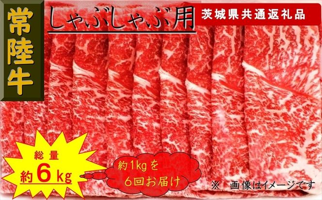 169-26-040 【6か月定期便】【常陸牛】しゃぶしゃぶ用肉 約1kg【定期便】計6回 総量約6kg（茨城県共通返礼品）【 常陸牛 茨城県 日立市 】