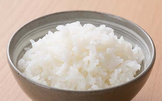 【テーブルマーク】山形県産 つや姫 パックごはん 64食(4食入×16パック) 白米 米 ご飯 ごはん ライス つやひめ パック パックライス 簡単調理 レンジ レンチン 常温保存 保存食 非常食 備蓄 国産 食品 山形県 西川町 月山 FYN6-347