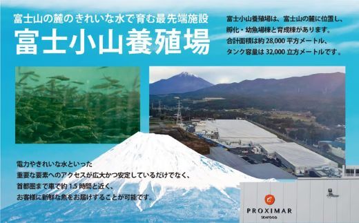日本初 完全陸上養殖 静岡県小山町産 アトランティックサーモン 冷凍 ポキ丼（ 食べ比べ セット 約160g / 約130g × 1パック × 4つの味 ）