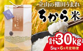 ＜定期便＞立山のちから米 令和7年産 コシヒカリ 各5kg ＜全6回＞ 計30kg 3ヶ月連続 5kg 定期便 定期配送 ちから米 こしひかり 銘柄米 ブランド米 国産 米 お米 日本米 ギフト F6T-913