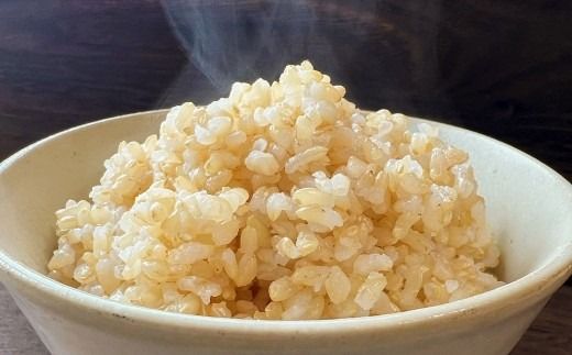 【 令和7年産 】 福岡県産 【 特A 】 評価のお米「 元気つくし 」 5kg × 1袋 玄米 米 お米 こめ ご飯 ごはん ライス 令和7年 おにぎり 弁当 オリジナル品種 国産